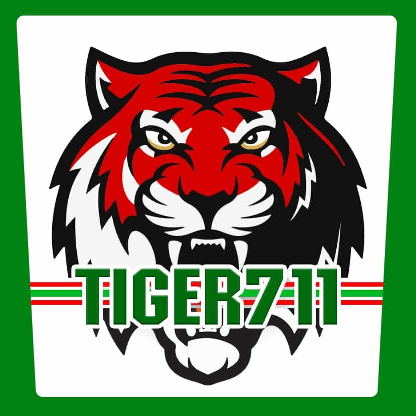 PG Slot Mega คาสิโนออนไลน์สุดฮิต เหมาะกับนักเดิมพันไทย