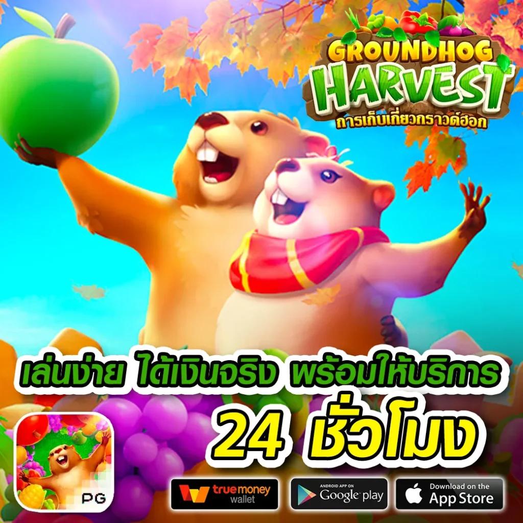 คาสิโนออนไลน์ 365superslot สมัครง่าย ระบบอัปเดตทันสมัยที่สุดในไทย