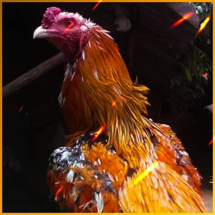 จับสลากออนไลน์ พนันง่าย จ่ายเต็ม พร้อมโปรแรงที่สุดในไทย